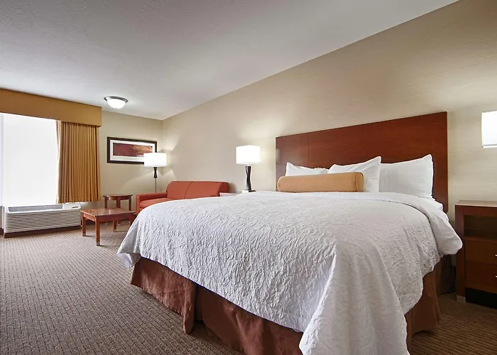 Western Cotton Tree 3*