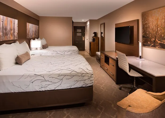 Mini-hôtel Western Cotton Tree Rawlins