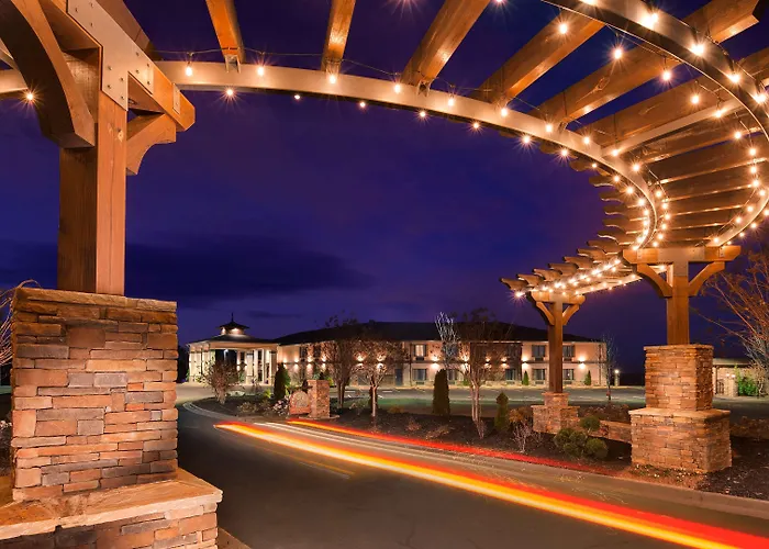 Western Cotton Tree 3*