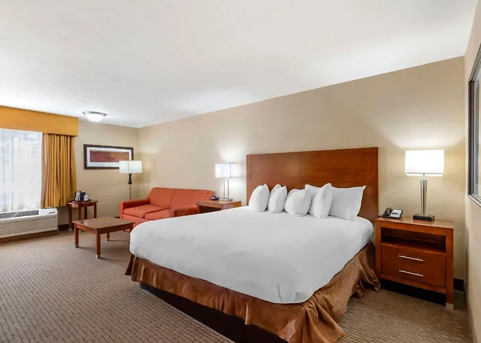 Western Cotton Tree 3* Rawlins