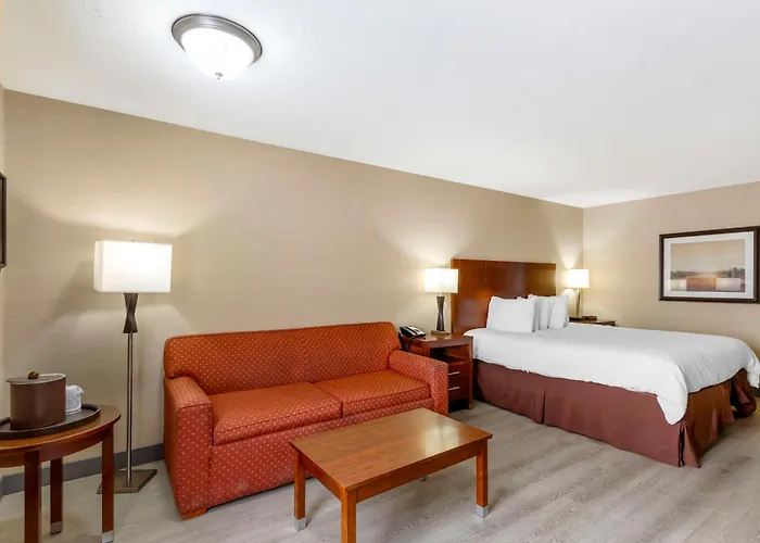 Western Cotton Tree 3*