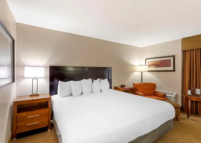 Mini-hôtel Western Cotton Tree