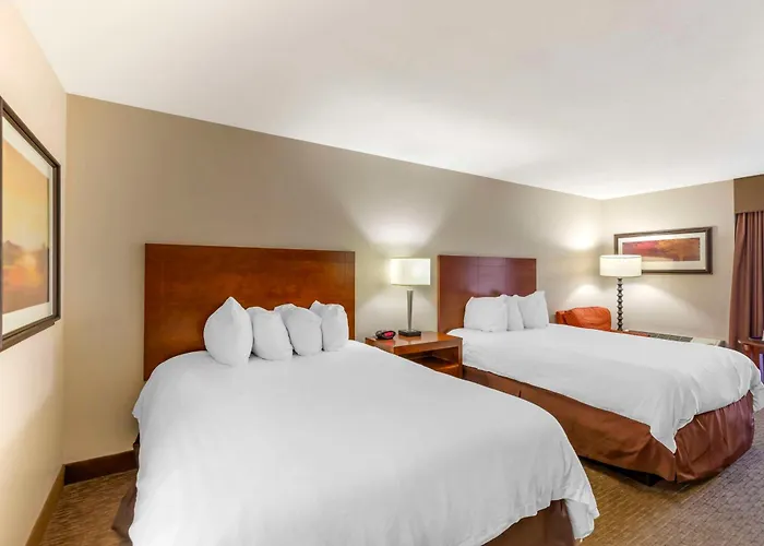 Western Cotton Tree 3*