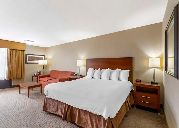 Western Cotton Tree Mini-hôtel Rawlins
