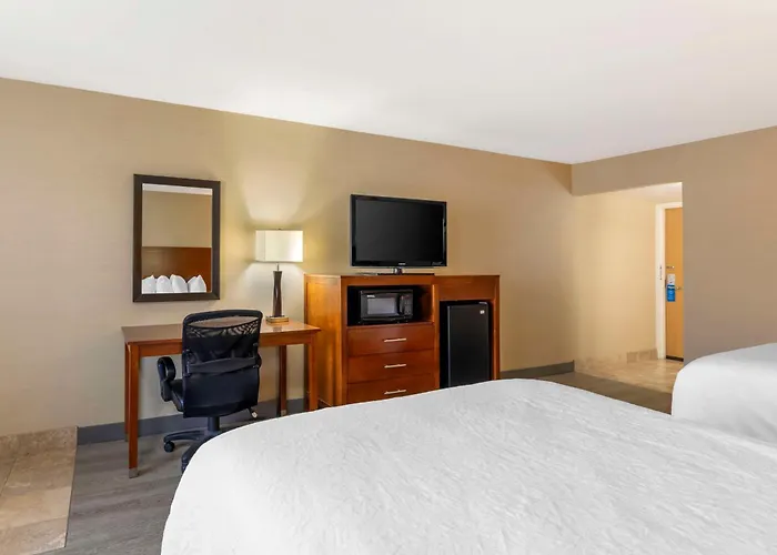 Western Cotton Tree 3*