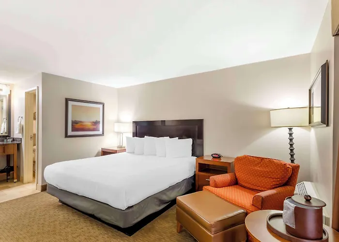Western Cotton Tree 3* Rawlins